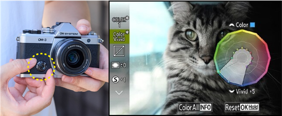 カラー／モノクロプロファイルコントロール