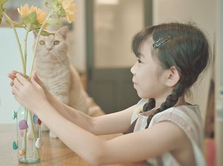 >Nikon Z6III プロモーション記事への起用