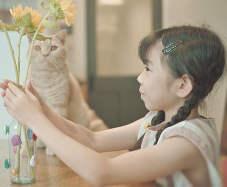 >Nikon Z6III プロモーション記事への起用